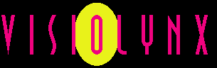 Visiolynx logo